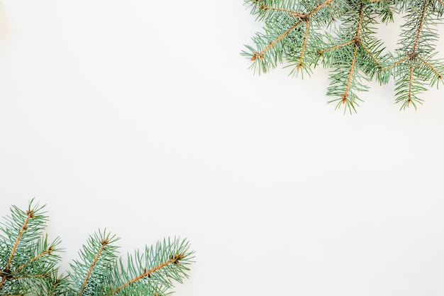 Christmas background with two fir branches