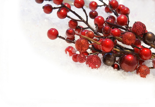 Рождественские ягоды расположен в снегу