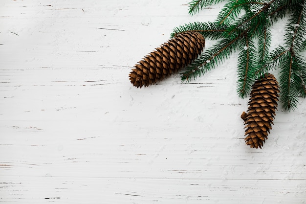 Christmas composition of fir tree branches with cones