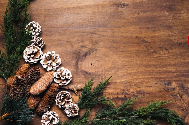 Christmas composition with fir branches