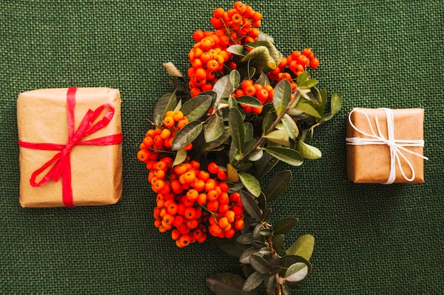 Christmas composition with mistletoe