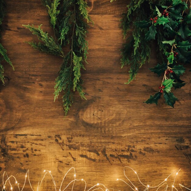 Christmas concept with mistletoe