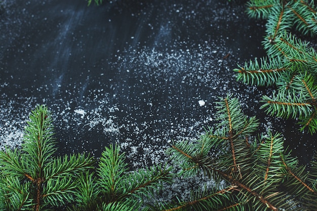 Christmas fir on the dark surface with snow