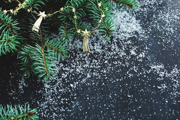 Christmas fir on the dark surface with snow