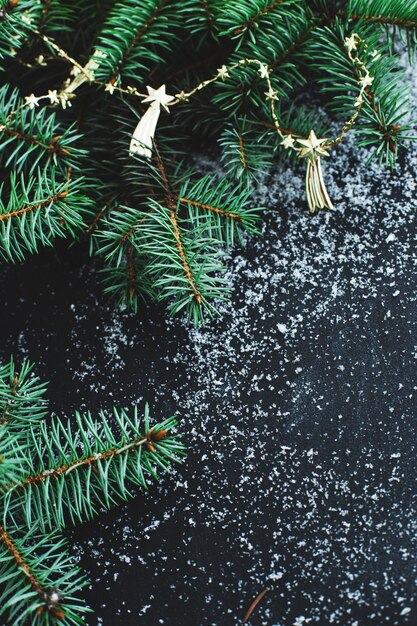 Рождественская ель на темной поверхности со снегом