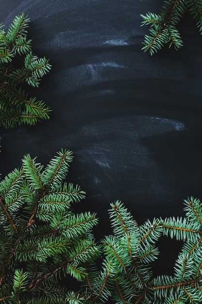 Christmas fir on the dark surface