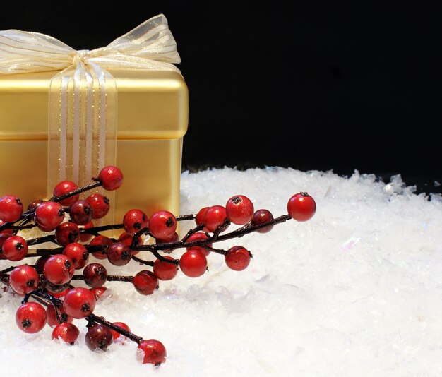 Christmas gift and berries in snow