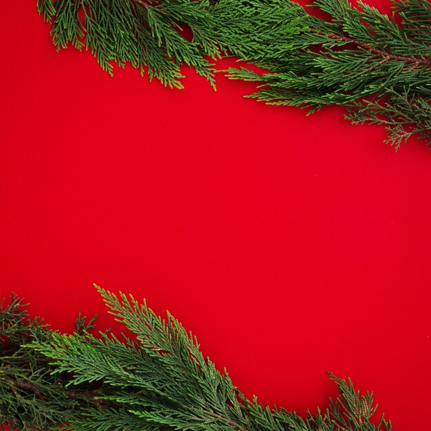 Christmas pine leaves on red background with copyspace