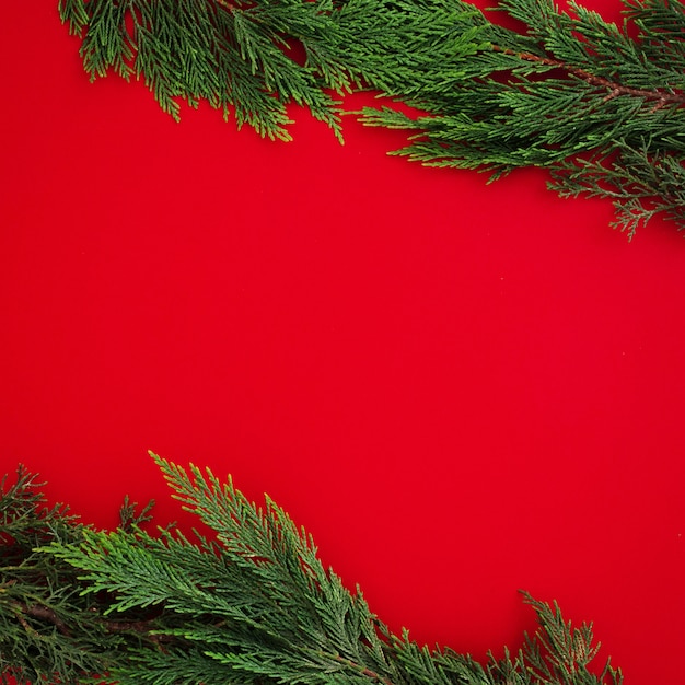 Christmas pine leaves on red background with copyspace