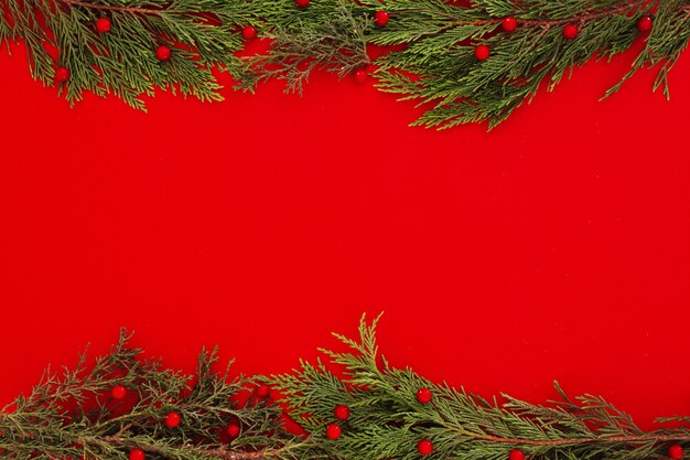 Christmas pine leaves on a red frame background with copyspace