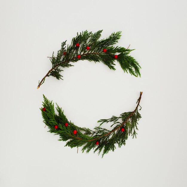 Christmas pine leaves on white 