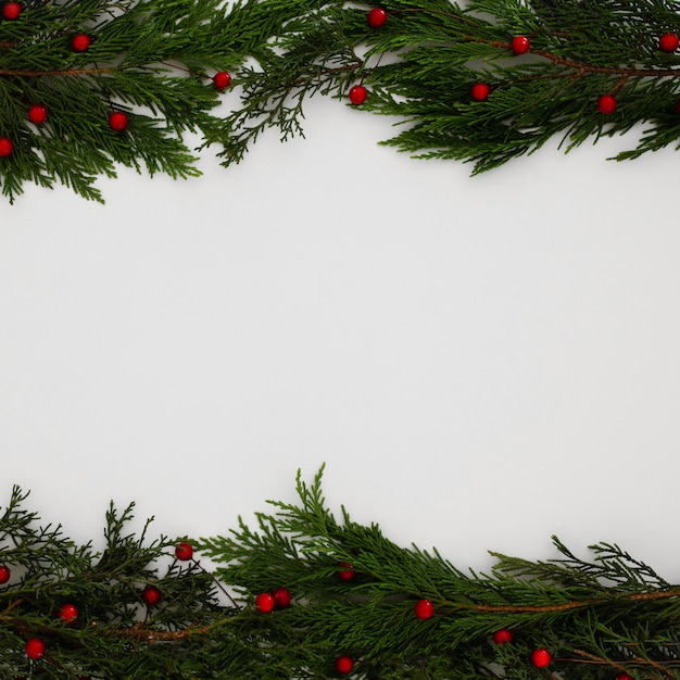 Free photo christmas pine tree leaves on a white background with copy space