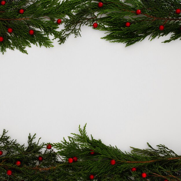 Christmas pine tree leaves on a white background with copy space
