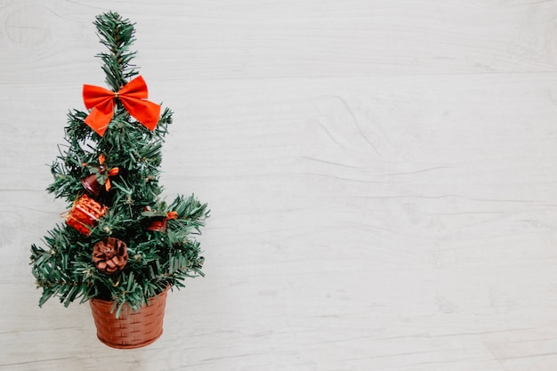 Free photo christmas plant