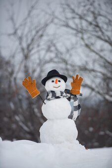 クリスマスセール割引。雪だるま。クリスマスの日に軽い星と雪だるま。雪だるまのスタイリッシュな帽子とスカーフで面白い雪だるま。