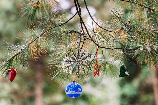 公園の針葉樹の小枝にぶら下がっているクリスマスのおもちゃ