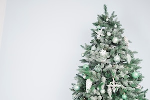免费照片圣诞树背景
