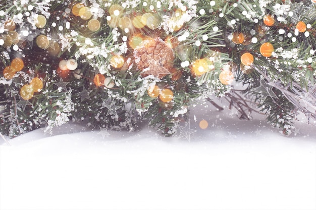 Christmas tree branches nestled in snow