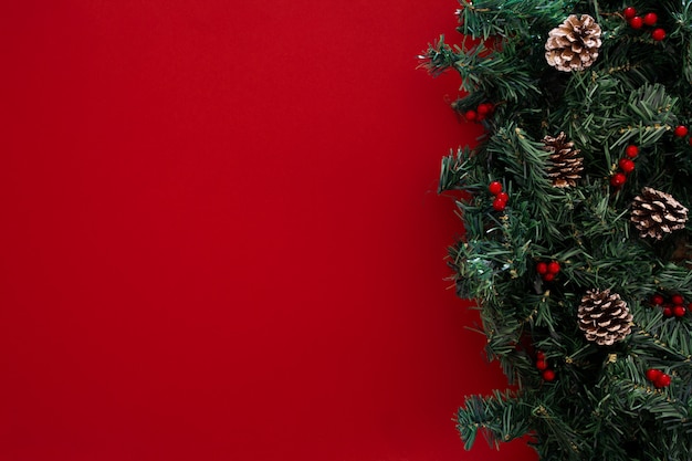Christmas tree branches on a red background