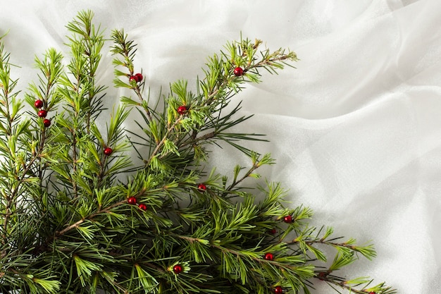 Christmas tree branches on white cloth