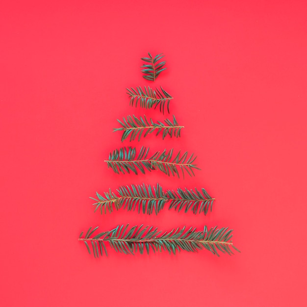 Christmas tree from fir tree branches