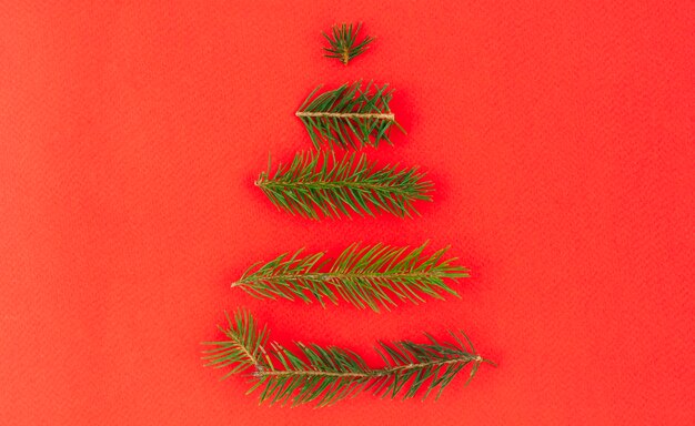 Christmas tree from green branches