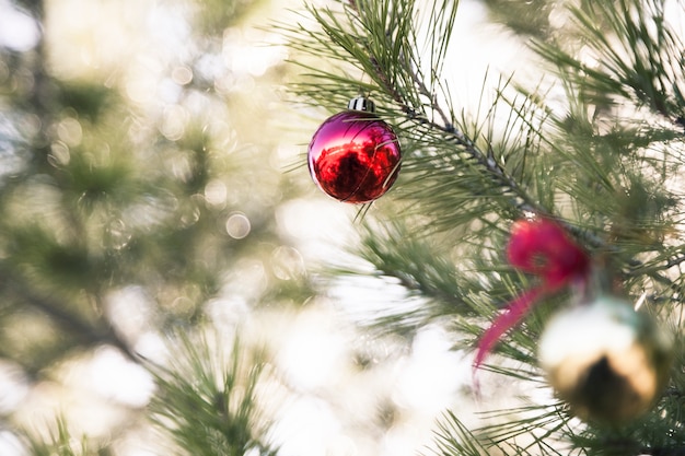 Free photo christmas tree in nature with ball decoration