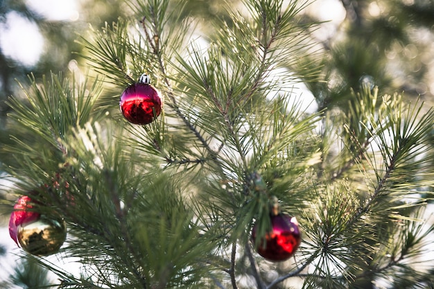 3つのクリスマスボールと自然のクリスマスツリー