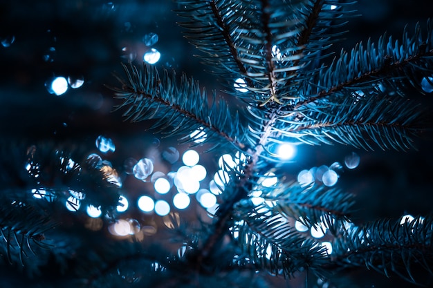 Рождественская елка с шишками на городской улице освещается с гирляндой.