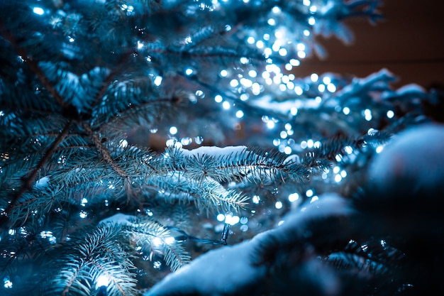 Рождественская елка с шишками на городской улице освещается с гирляндой.