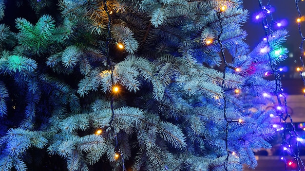Рождественская елка с огнями на ней ночью