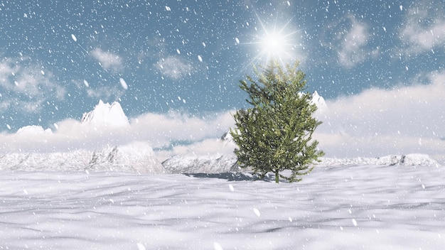 Christmas winter scene with fir tree with snowfall
