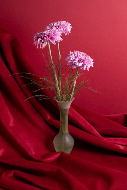 Chrysanthemum in vase with red background