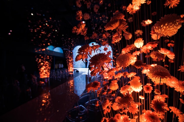 Chrysanthemums illuminated with orange light hang on threads in the hall