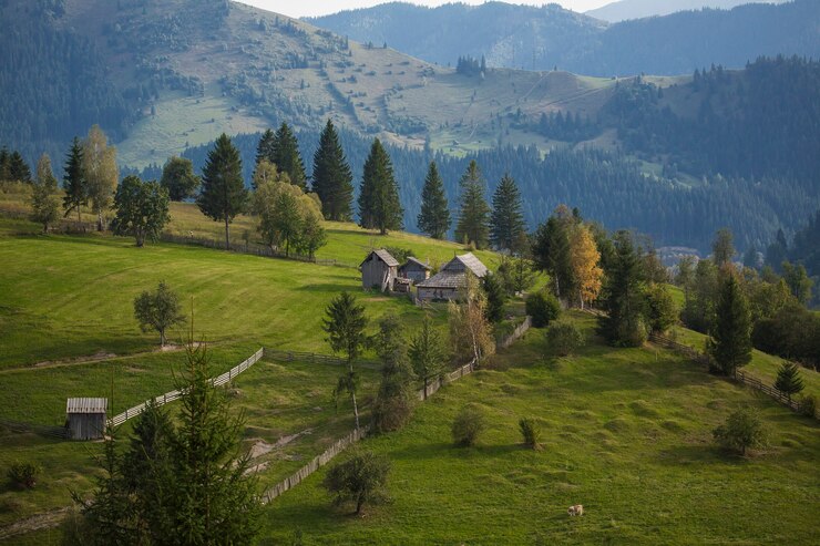 Free Photo the church from sucevita monastery in the bucovina romania
