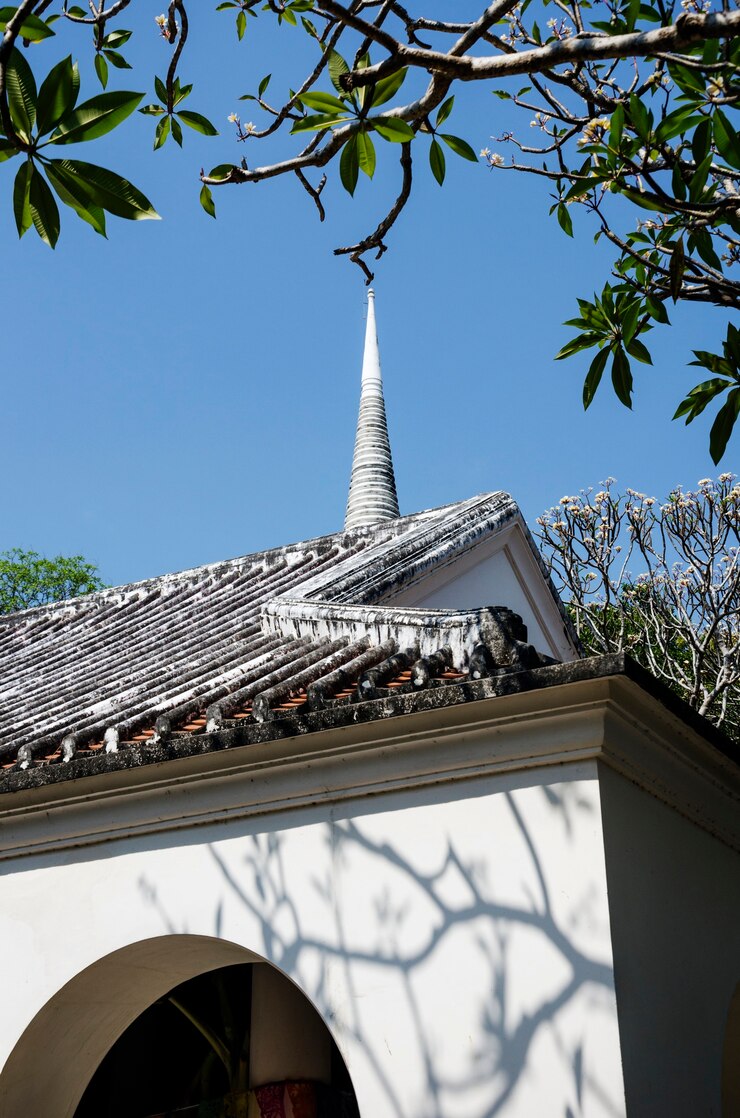 Free Photo church trees leaf branches nature
