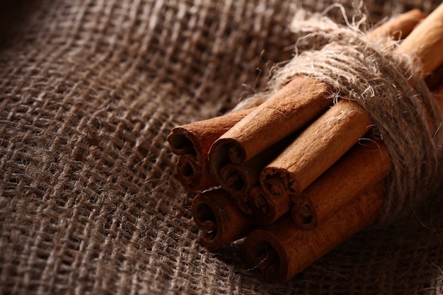 Cinnamon sticks on sack cloth