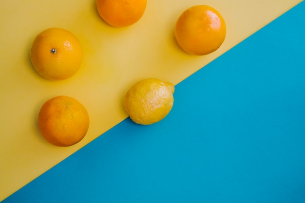 Circle of citrus fruits