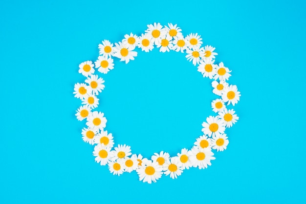 Free photo circle of cute spring flowers