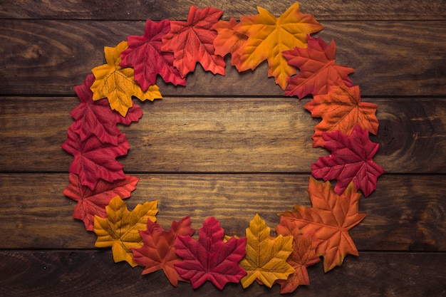 Circle frame of colourful maple leaves