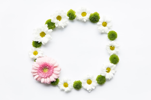 Free photo circle from assorted daisies and succulents