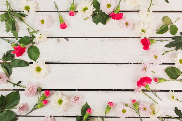 Circle from carnations and daisies