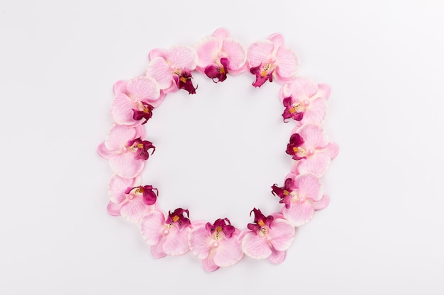 Circle from orchids on white