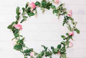 Free photo circle from pink roses