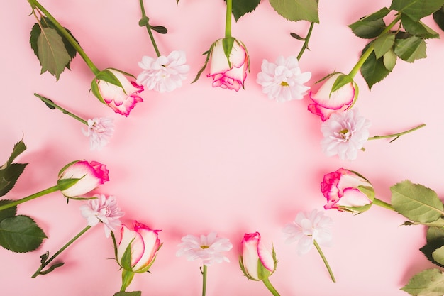 Circle from roses and daisies