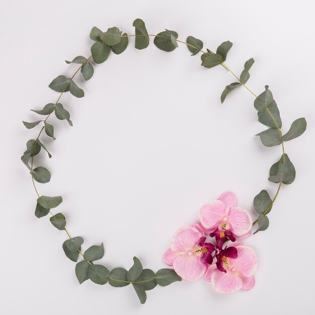 Circle from twigs and orchids