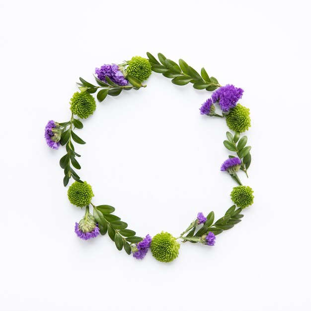 Circle from violet flowers and succulents