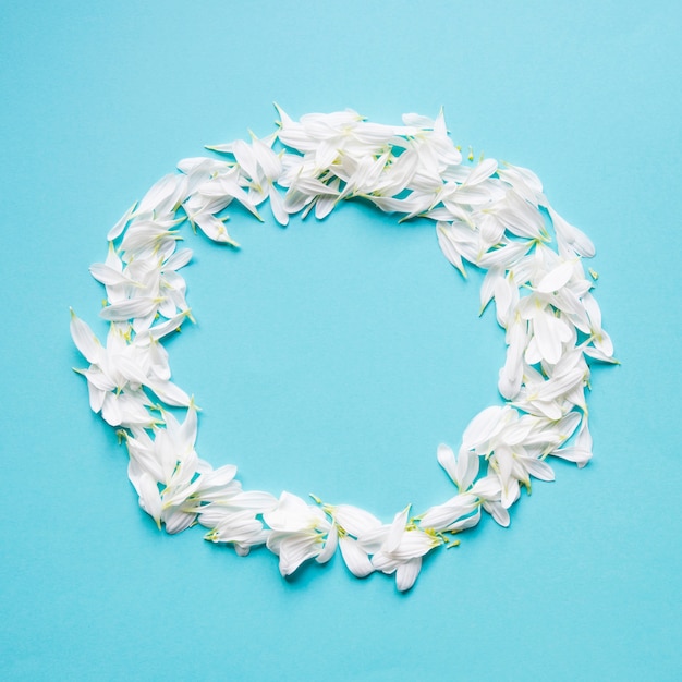 Circle from white petals