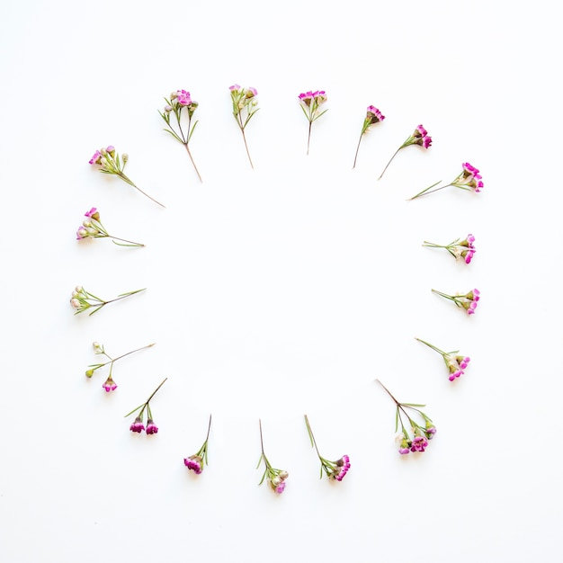 Free photo circle from wild flowers