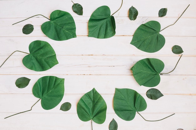 Free photo circle made of leaves